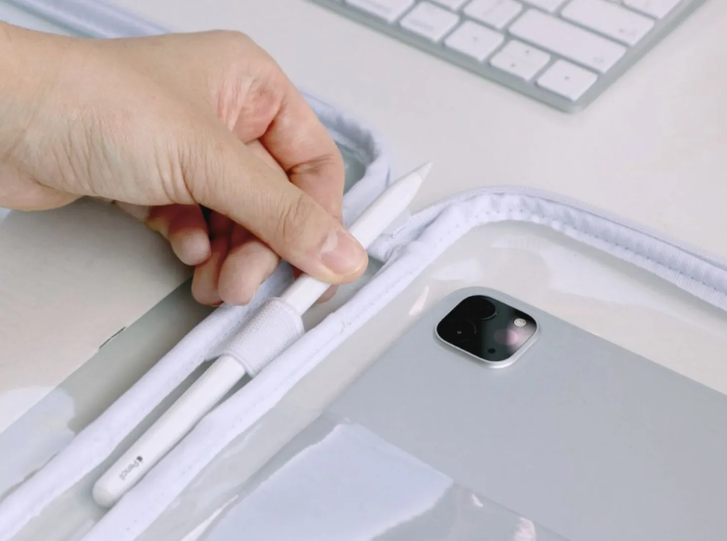 Apricity Lucid iPad Pouch