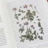 Astragalus Sinicus Pressed Flower Sticker