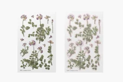 Astragalus Sinicus Pressed Flower Sticker