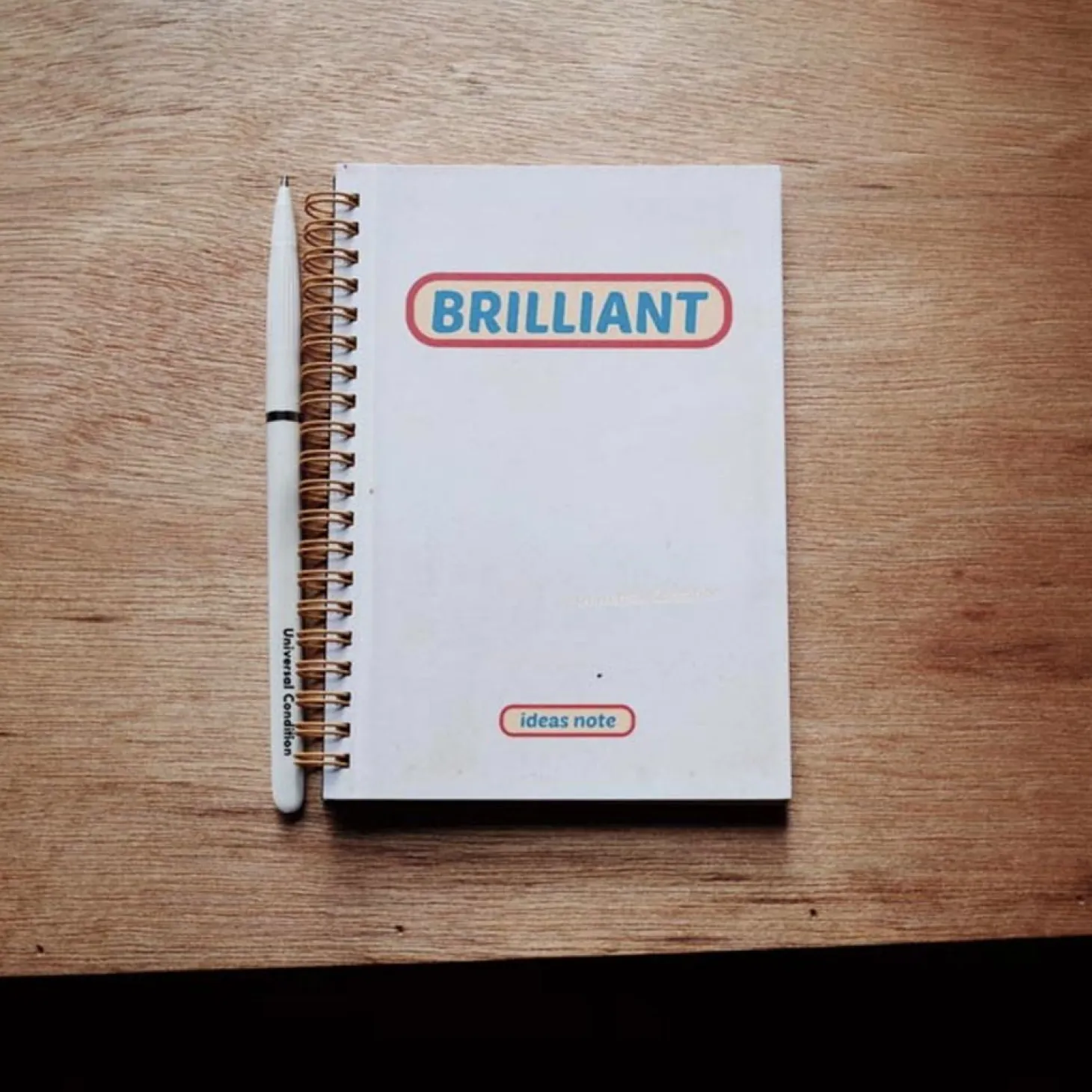 Brilliant Idea Notebook