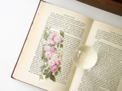 Flower Transparent Bookmark