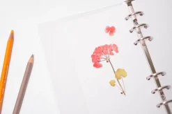 Geranium Pressed Flower Sticker