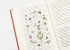 Globe Amaranth Pressed Flower Sticker