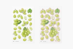 Green Grape Pressed Fruit Sticker