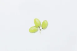Green Grape Pressed Fruit Sticker