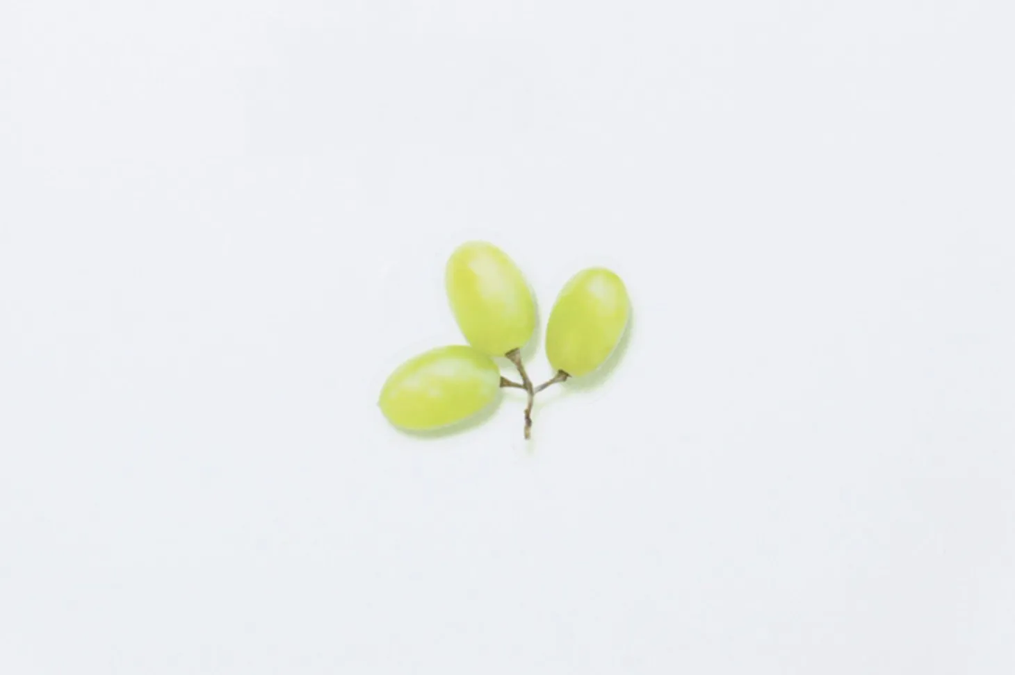 Green Grape Pressed Fruit Sticker