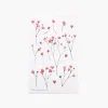 Gypsophila Pressed Flower Sticker