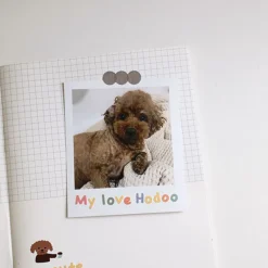 Handwriting #4 Alphabet Deco Sticker