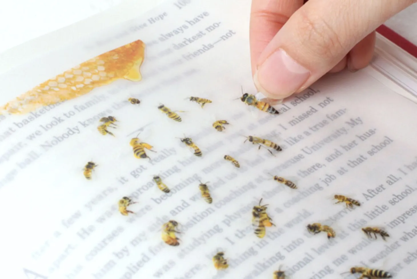 Honey Bee Nature Sticker