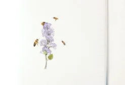Honey Bee Nature Sticker