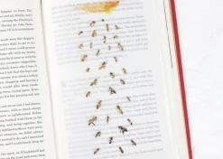 Honey Bee Nature Sticker