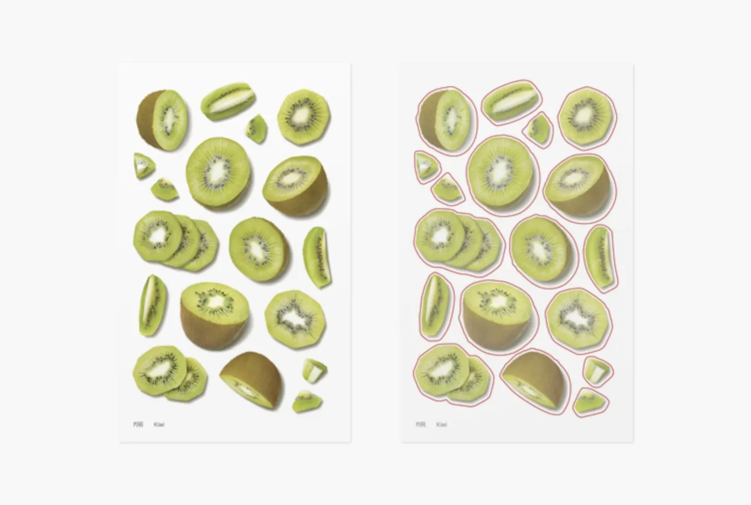 Kiwi Pressed Fruit Sticker