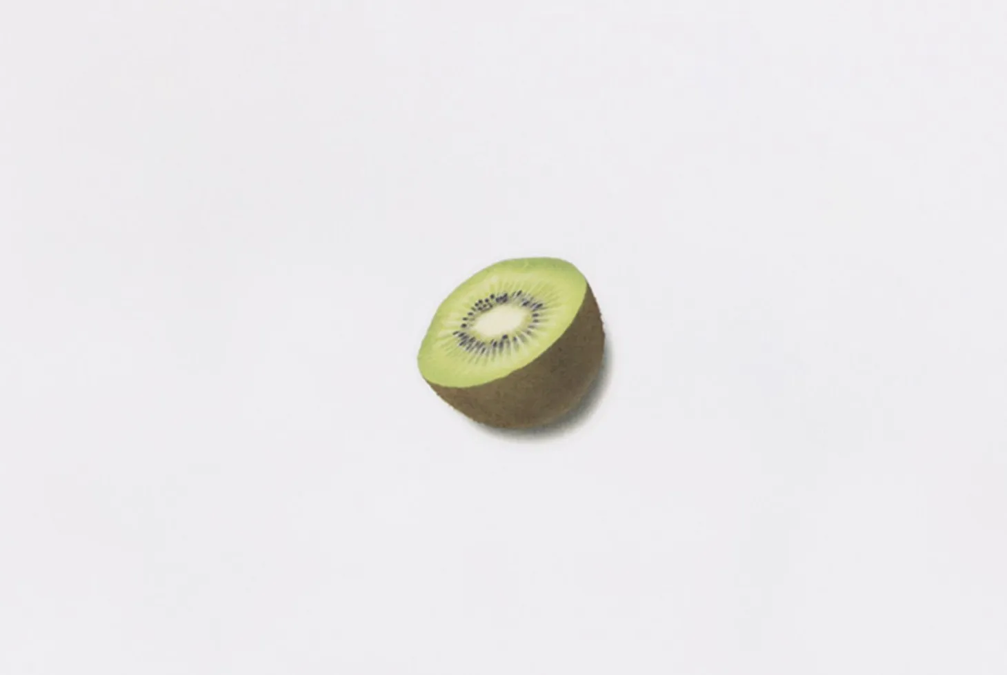 Kiwi Pressed Fruit Sticker