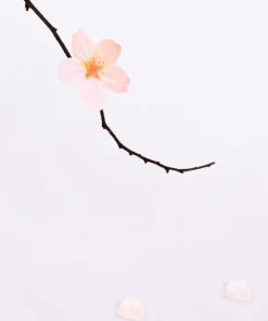 Large Cherry Blossom Sticky Note