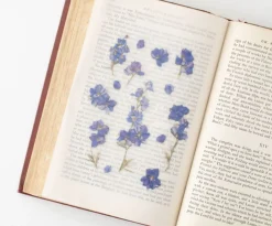 Larkspur Pressed Flower Sticker