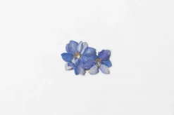Larkspur Pressed Flower Sticker