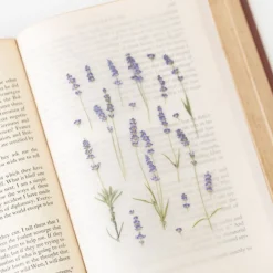 Lavender Pressed Flower Sticker