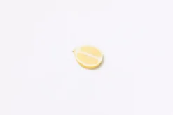 Lemon Pressed Fruit Sticker