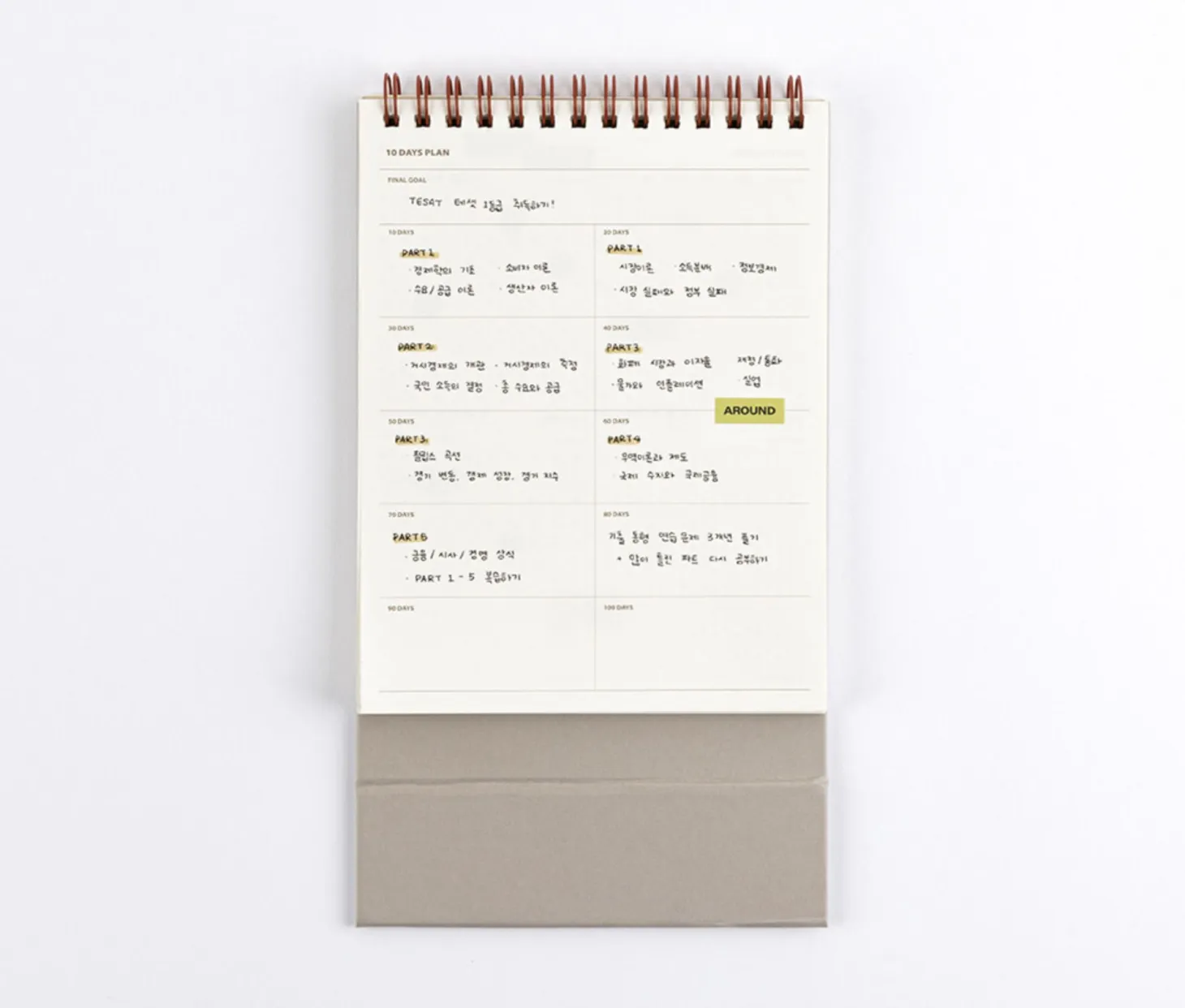 Life & Pieces 100 Day Standing Planner