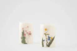 Marguerite Pressed Flower Sticker