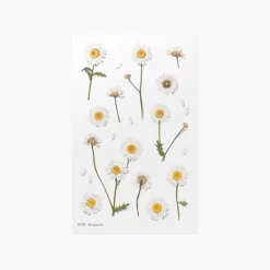 Marguerite Pressed Flower Sticker