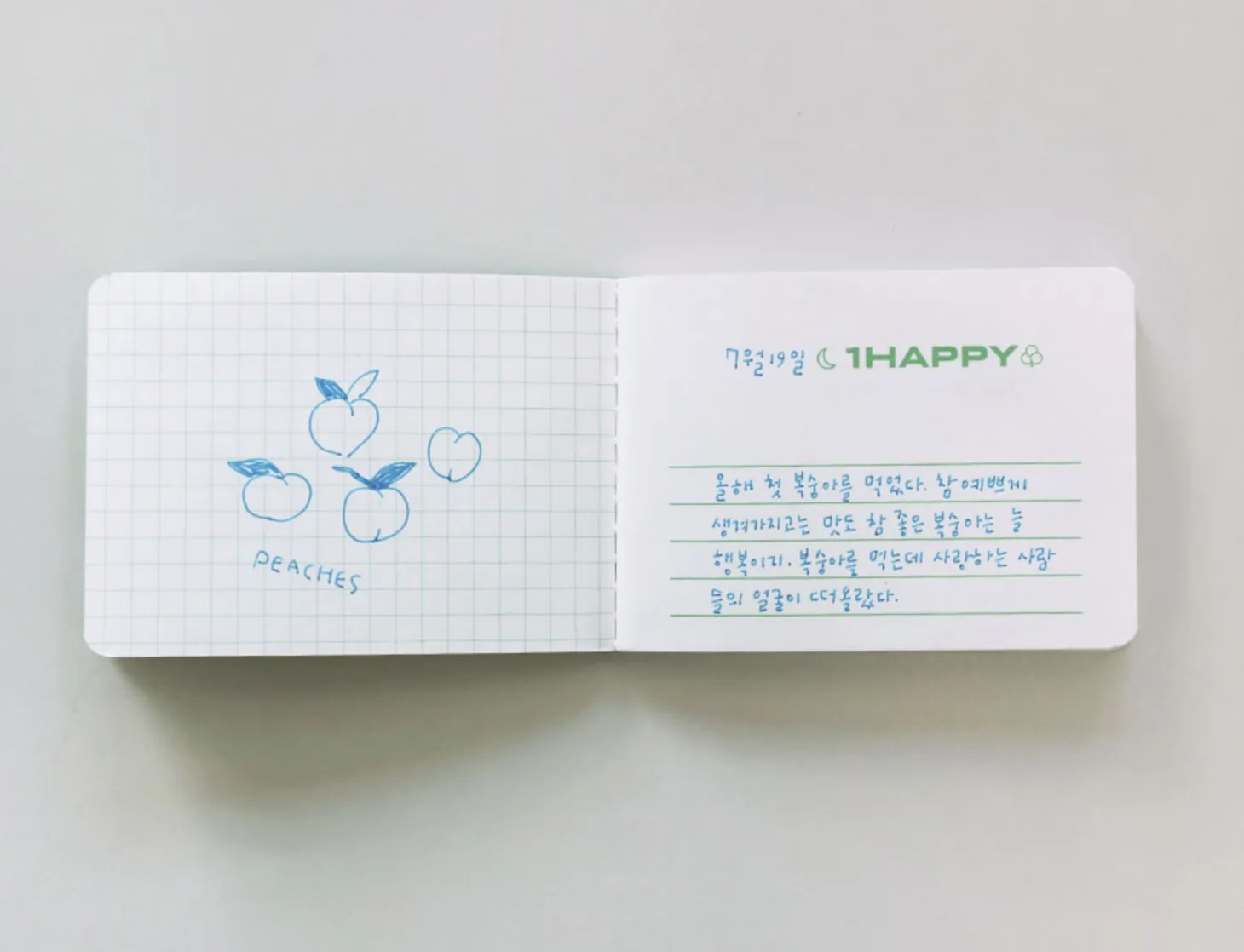 Mini 1 Day 1 Happy Notebook