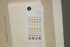 Mini Mandu Deco Sticker