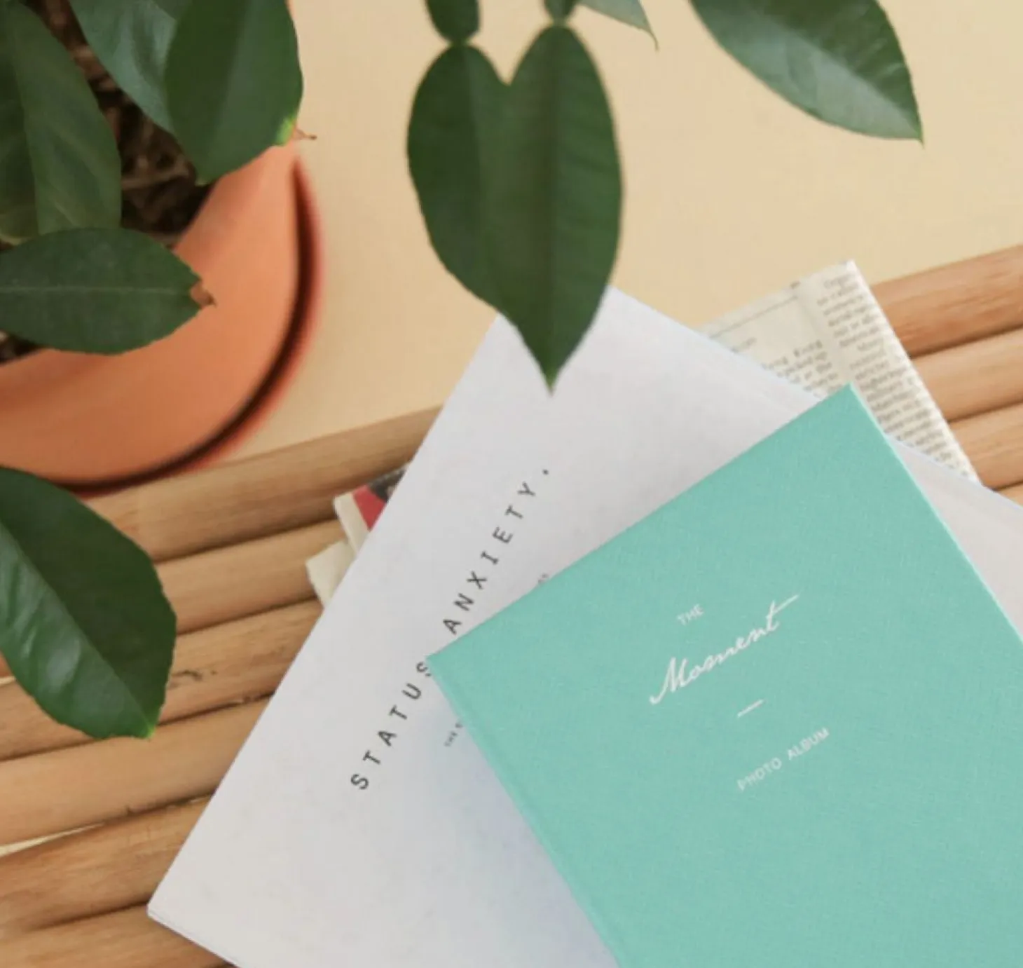 Moment 4x6 Photo Album v2