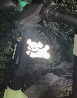 Momo Bear Reflective Keychain