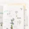Moss Phlox Pressed Flower Sticker