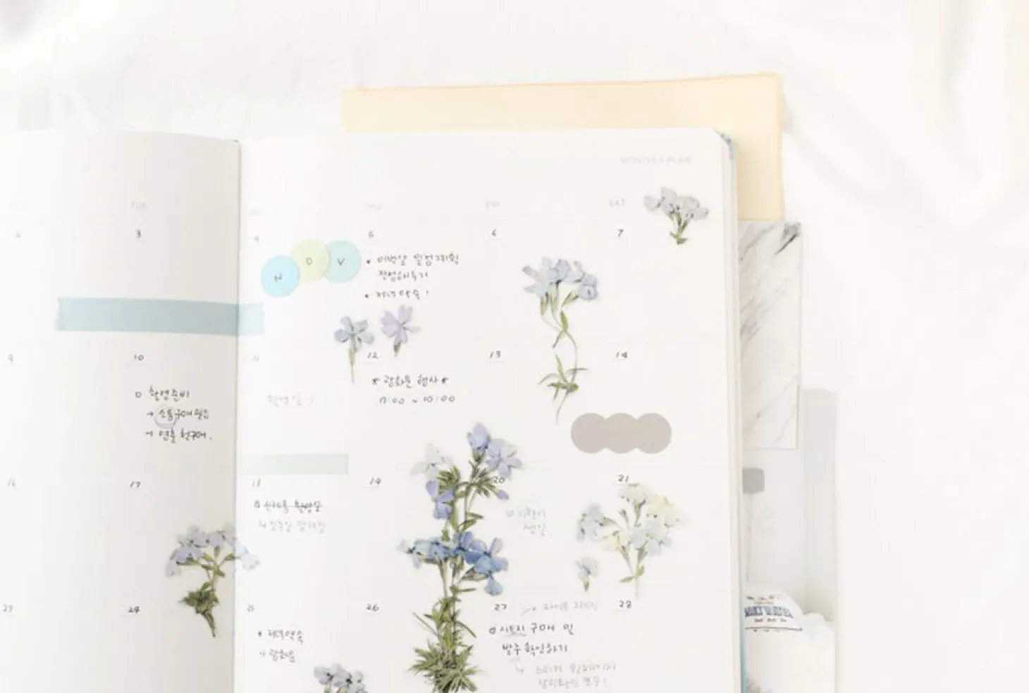 Moss Phlox Pressed Flower Sticker