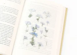 Moss Phlox Pressed Flower Sticker