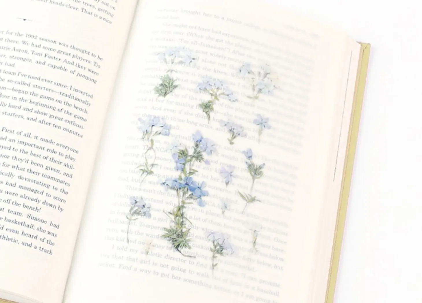 Moss Phlox Pressed Flower Sticker