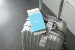 Plane Passport Case