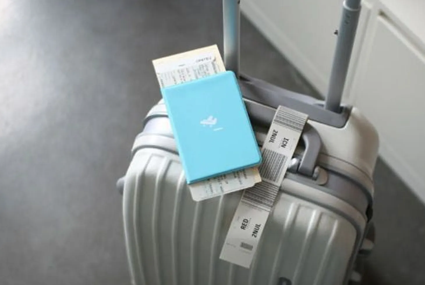 Plane Passport Case