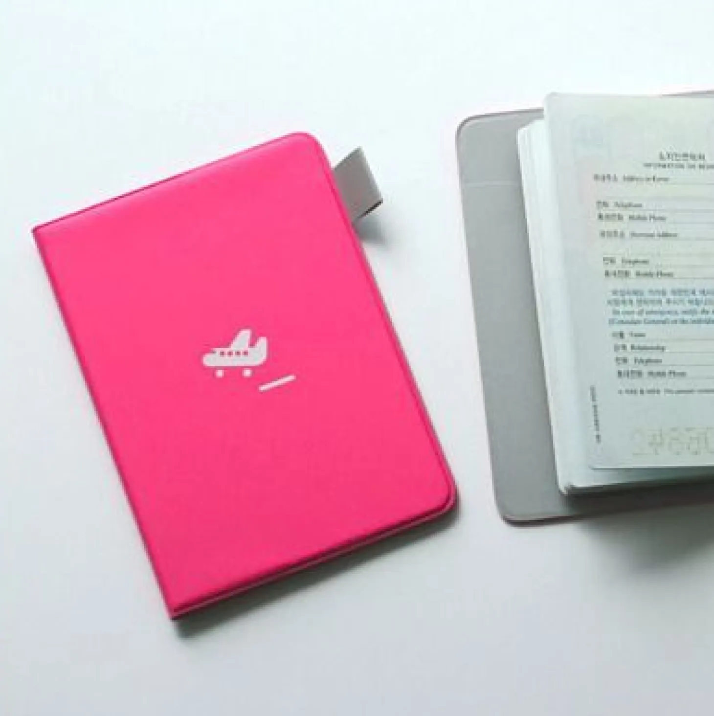 Plane Passport Case