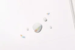 Rainbow Nature Sticker