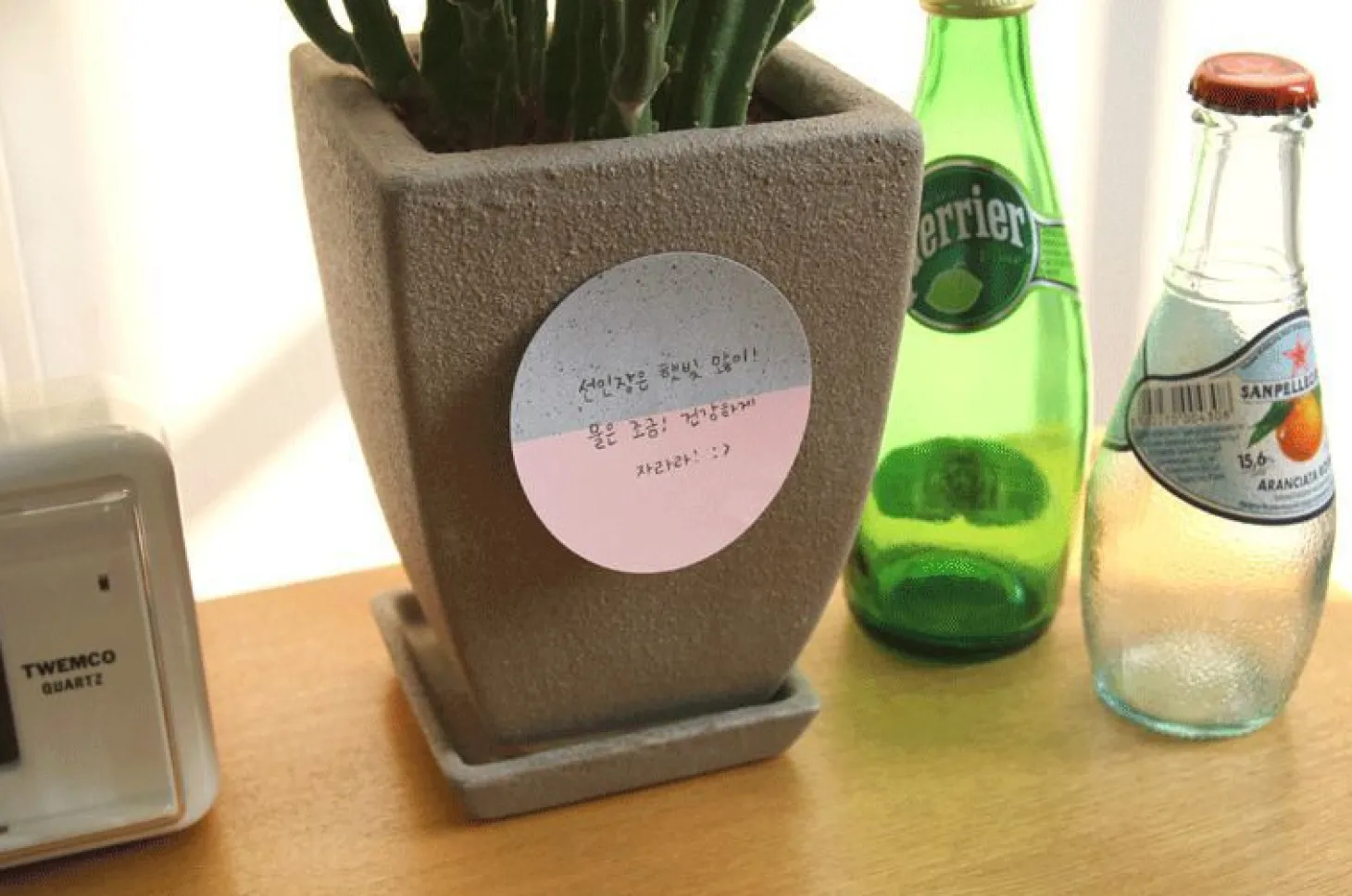 Round Nature Sticky Note
