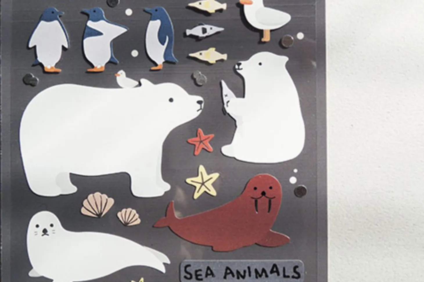 Sea Animal Deco Sticker