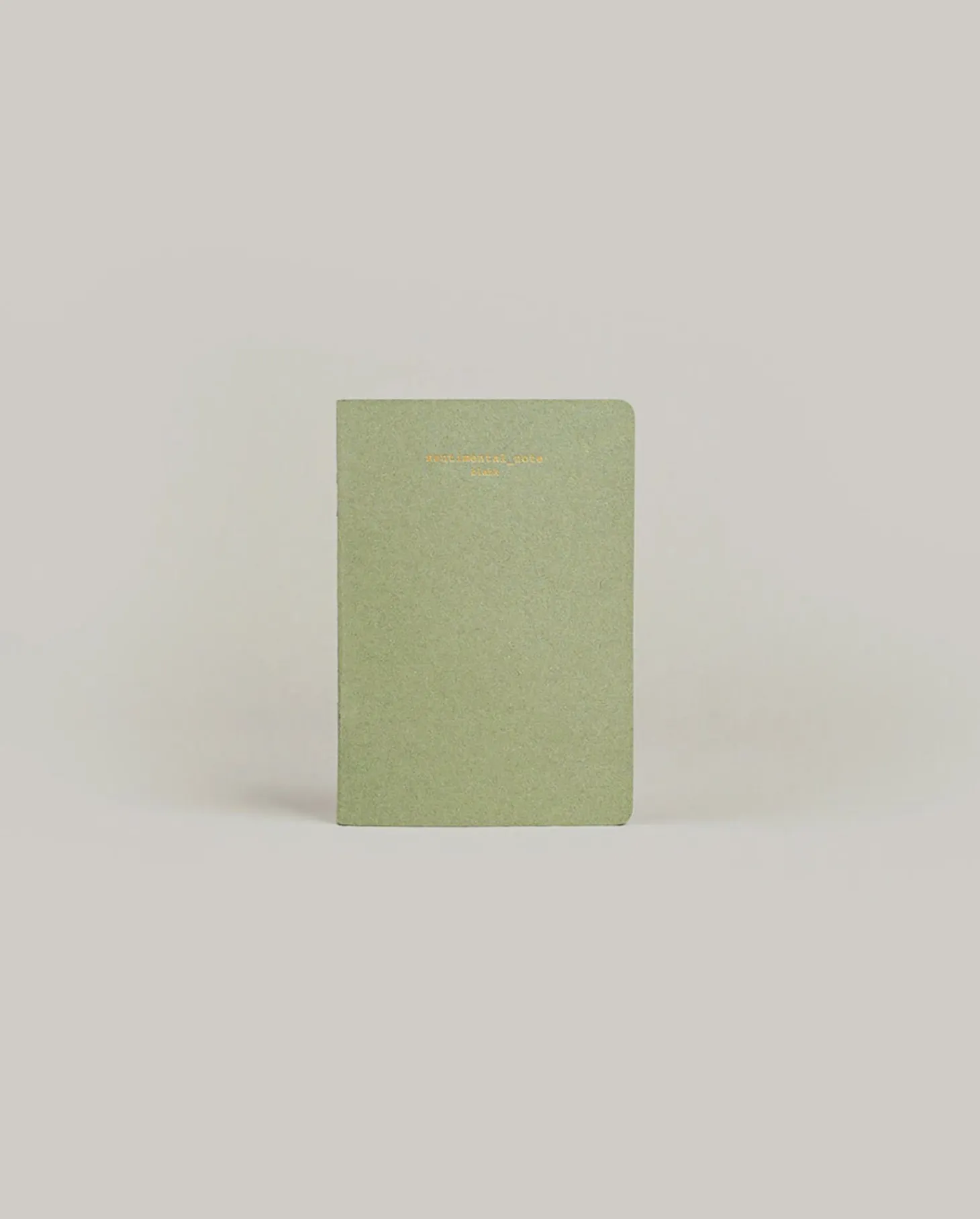 Sentimental Mini Plain Notebook
