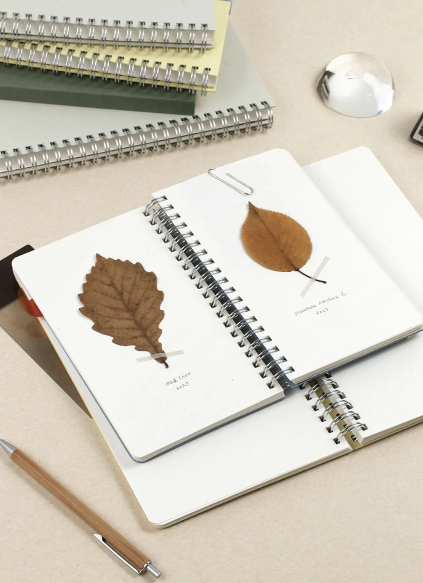 Small Eco Friendly Flat Plain Notebook