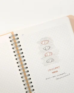 Small 6 Month Daily Manager Planner