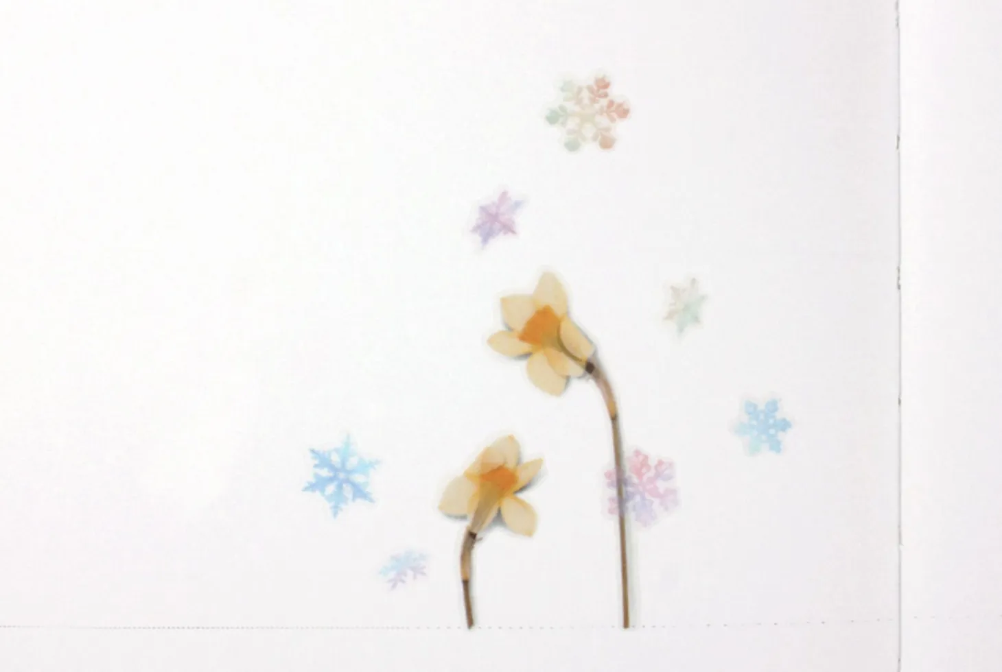 Snowflake Nature Sticker