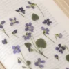Violet Pressed Flower Sticker